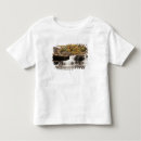 Pesquisar por babcock camisetas Cachoeira