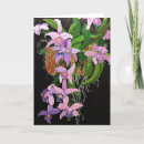 Pesquisar por soquete cartoes Flor