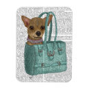 Pesquisar por chihuahua imas Antiguidade