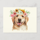Pesquisar por golden retriever cartoes Amante de cães
