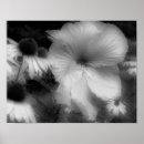 Pesquisar por alto contraste pôsteres Natureza