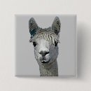 Pesquisar por alpaca botons Lama