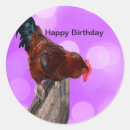 Pesquisar por rooster adesivos Galinha