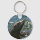 Pesquisar por selo animal chaveiros Mamífero