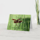 Pesquisar por libélula vermelha cartoes postais Verde