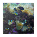 Pesquisar por peixes tropicais azulejos Oceano