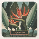 Pesquisar por paraíso porta copos Ave do paraíso