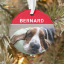 Pesquisar por cães de basset ornamentos Animais de companhia