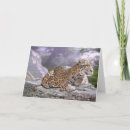 Pesquisar por jaguar cartoes Felino