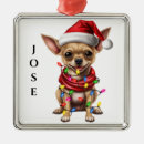 Pesquisar por dog ornamentos Feriado