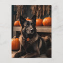 Pesquisar por thanksgiving cartoes postais Exclusivo