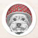 Pesquisar por yorkshire terrier porta copos Filhote de cachorro