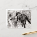 Pesquisar por égua potro cartoes postais Equino