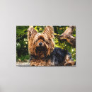 Pesquisar por raça cão impressão de canvas Animais