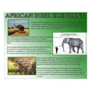 Pesquisar por afro pôsteres Animais