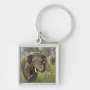 Pesquisar por elefante indiano chaveiros Corbett