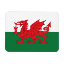 Pesquisar por galeria imas Sinalizador