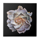 Pesquisar por preto escuro azulejos Branco