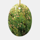Pesquisar por beleza ornamentos Natureza