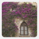 Pesquisar por janelas adesivos Roxo
