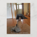 Pesquisar por sentimental cartoes postais Você