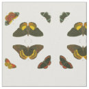 Pesquisar por fundo artesanato material Branco