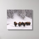 Pesquisar por eua impressão de canvas Horizontal
