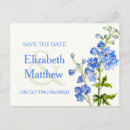 Pesquisar por delphinium cartoes postais Aquarela