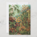 Pesquisar por ilustração botânica vintage convites Floral