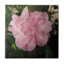 Pesquisar por cor rosa da mãe azulejos Bonito