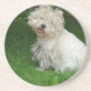 Pesquisar por frise do bichon porta copos Cães