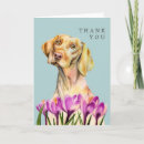 Pesquisar por vizinha cartoes Cães