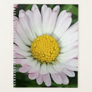 Pesquisar por margarida agendas Flor