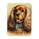 Pesquisar por de cocker spaniel imas Cães