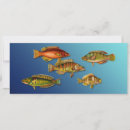 Pesquisar por peixes coloridos convites Pesca