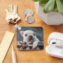 Pesquisar por buldogue francês chaveiros Canino