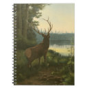 Pesquisar por preservação escritorio escola Natureza