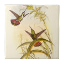 Pesquisar por coelhos e coelhos azulejos Pássaro