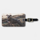 Pesquisar por meu pitbull acessorios Qualquer pessoa