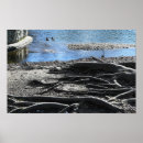 Pesquisar por raiz pósteres pôsteres Raízes de árvores