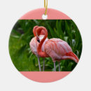 Pesquisar por flamingos ornamentos Qualquer pessoa