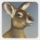 Pesquisar por kangaroo adesivos Vida selvagem