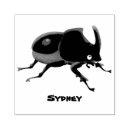 Pesquisar por besouro artesanato material Entomologia