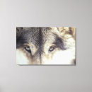 Pesquisar por canil impressão de canvas Animais