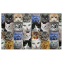 Pesquisar por cat tecidos Animais
