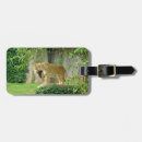 Pesquisar por leões bagagem tags Leão