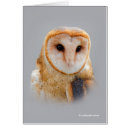 Pesquisar por olhos coruja cartoes Corujas