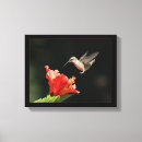Pesquisar por vermelho impressão de canvas Brilhante