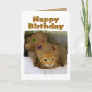 Pesquisar por peluche cartoes Gatinho
