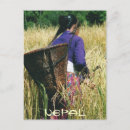 Pesquisar por nepal Tradicional